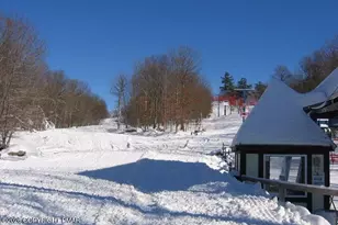 151 Kensington Dr, Bushkill, PA 18324 - Photo 84