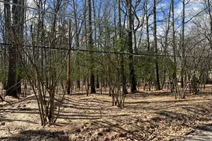 Lots 22 & 24 Daffodil Rd, East Stroudsburg, PA 18302 - Photo 1