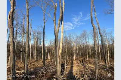  3350 Falstaff Drive, Tobyhanna, PA 18466 - Photo 2