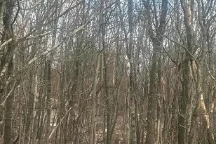 719 721 Wenatche Trail, Albrightsville, PA 18210 - Photo 1