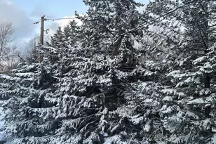 5265 Glen Terrace, Tobyhanna, PA 18466 - Photo 54