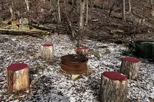 255 Buck Fever Trail, Scotrun, PA 18355 - Photo 16