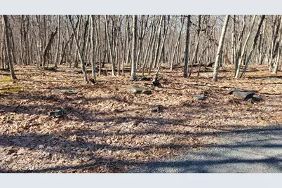  Lot 155 Cardinal Drive, Bushkill, PA 18324 - Photo 4