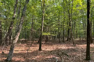 Lot 11 Metzger Rd, East Stroudsburg, PA 18301 - Photo 1