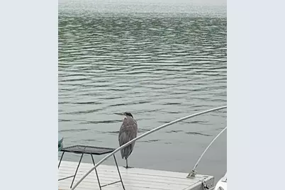  32 Shore Drive, Tunkhannock, PA 18657 - Photo 26