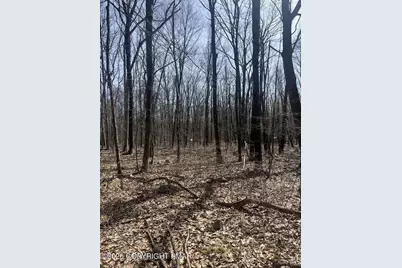  E Creek Drive, Lehighton, PA 18235 - Photo 6