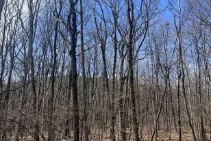 E Creek Dr, Lehighton, PA 18235 - Photo 1