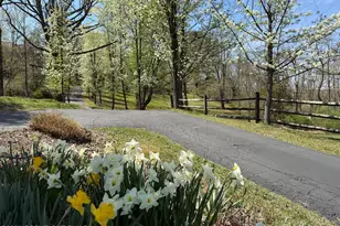 200 Mt Nebo Rd, East Stroudsburg, PA 18301 - Photo 66