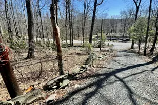 2319 Bear Town Rd, Canadensis, PA 18325 - Photo 28