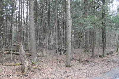  Forest Rd East 510, Pocono Lake, PA 18347 - Photo 4