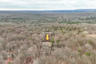 361 Birch Dr, Blakeslee, PA 18610 - Photo 4