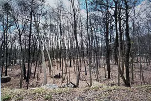 60 McKinley Dr, Effort, PA 18330 - Photo 1