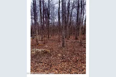  46 Gross Dr Drive, Pocono Pines, PA 18350 - Photo 1