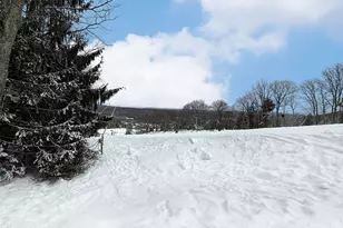 66 Cross Country Ln, Tannersville, PA 18372 - Photo 42