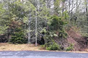 Sir Jeoffrey Ct 199, Pocono Lake, PA 18347 - Photo 1