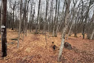 Masters Trail, Albrightsville, PA 18210 - Photo 4