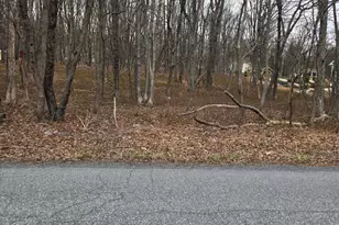 75 Cascade Dr, Effort, PA 18330 - Photo 2