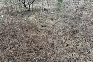 Creekview Rd, Kunkletown, PA 18058 - Photo 4