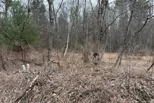 Creekview Rd, Kunkletown, PA 18058 - Photo 6