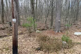 104 Country Club Dr, Thornhurst, PA 18424 - Photo 28