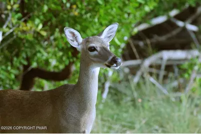  Horace Way & Parker Trail, Albrightsville, PA 18210 - Photo 1