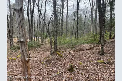  203 Pa-739, Hawley, PA 18428 - Photo 4