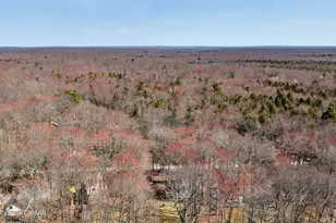 2038 Beaver Run Rd, Pocono Lake, PA 18347 - Photo 56