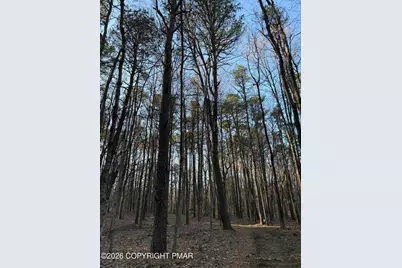  Twin Pine Rd 2, Stroudsburg, PA 18360 - Photo 6