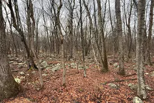 Lipo Way, Albrightsville, PA 18210 - Photo 1