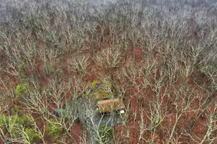 1596 Rt 590, Hawley, PA 18428 - Photo 44