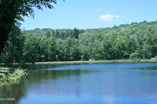 127 Dorchester Dr, Bushkill, PA 18324 - Photo 70