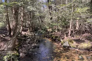 796 Towamensing Trail, Albrightsville, PA 18210 - Photo 16