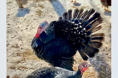  1414 State Route 940, Kidder, PA 18610 - Photo 48