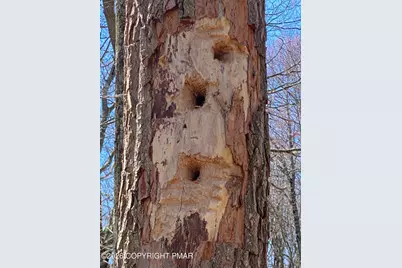  1414 State Route 940, Kidder, PA 18610 - Photo 44