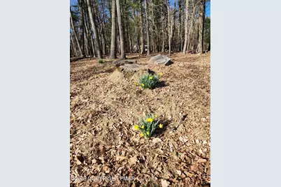  5239 Birchwood Drive, Tannersville, PA 18372 - Photo 14