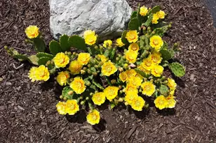 624 Marion Ln, Brodheadsville, PA 18322 - Photo 52