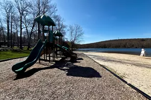 268 Berry Ln, Pocono Lake, PA 18347 - Photo 88