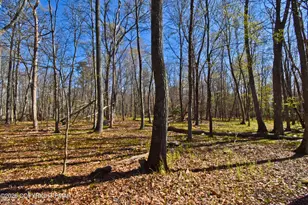 326 Ginger Ln, East Stroudsburg, PA 18301 - Photo 20