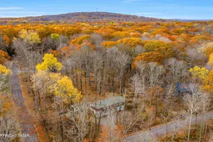 1769 Stag Run, Pocono Lake, PA 18347 - Photo 46