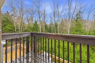 310 Selig Rd, Pocono Lake, PA 18347 - Photo 40