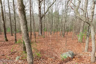  0 Station Hill Road, Henryville, PA 18332 - Photo 6