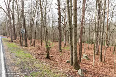  0 Station Hill Road, Henryville, PA 18332 - Photo 2