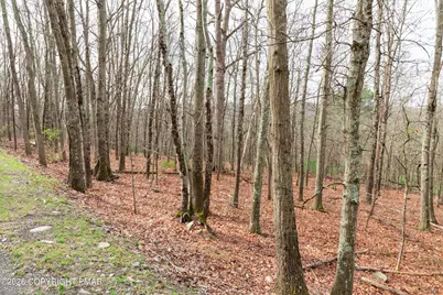  0 Station Hill Road, Henryville, PA 18332 - Photo 10