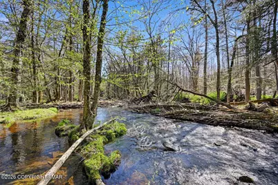 2194 Snow Hill Falls Road, Cresco, PA 18326 - Photo 10
