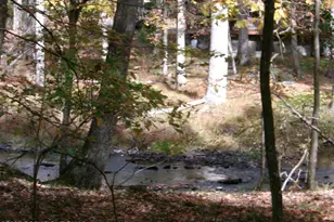 409 Tudor Ct, Bushkill, PA 18324 - Photo 10