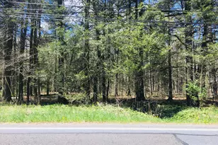 Lot 31 Route 423, Pocono Pines, PA 18350 - Photo 1