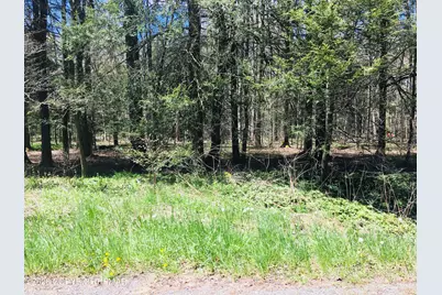  Lot 31 Route 423, Pocono Pines, PA 18350 - Photo 2