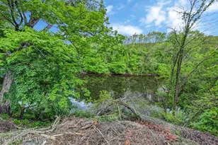 187 Minisink Ave, Shawnee-On-Delaware, PA 18356 - Photo 88