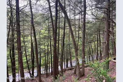  Lr 45052 Lower Smith Gap Road, Kunkletown, PA 18058 - Photo 6