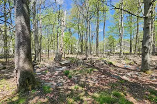 1686 Moonbeam Terrace, Tobyhanna, PA 18466 - Photo 40
